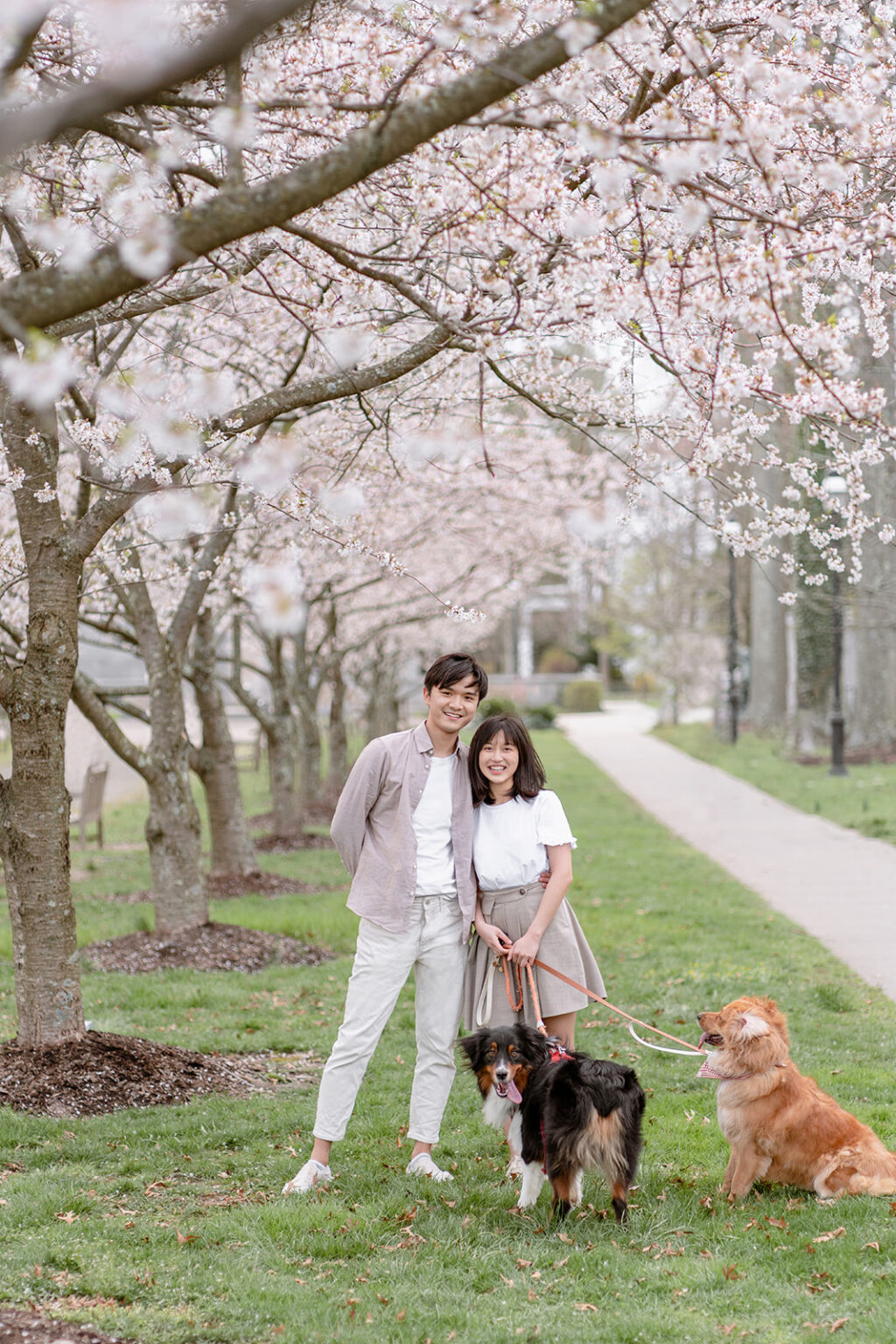 Spring Family Portrait Photo with dogs in Princeton NJ