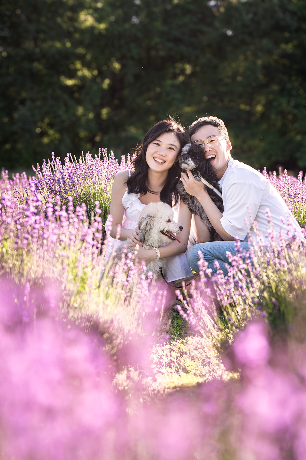 dog and people photography in NJ Lavender Farm by New Jersey Pet Photographer