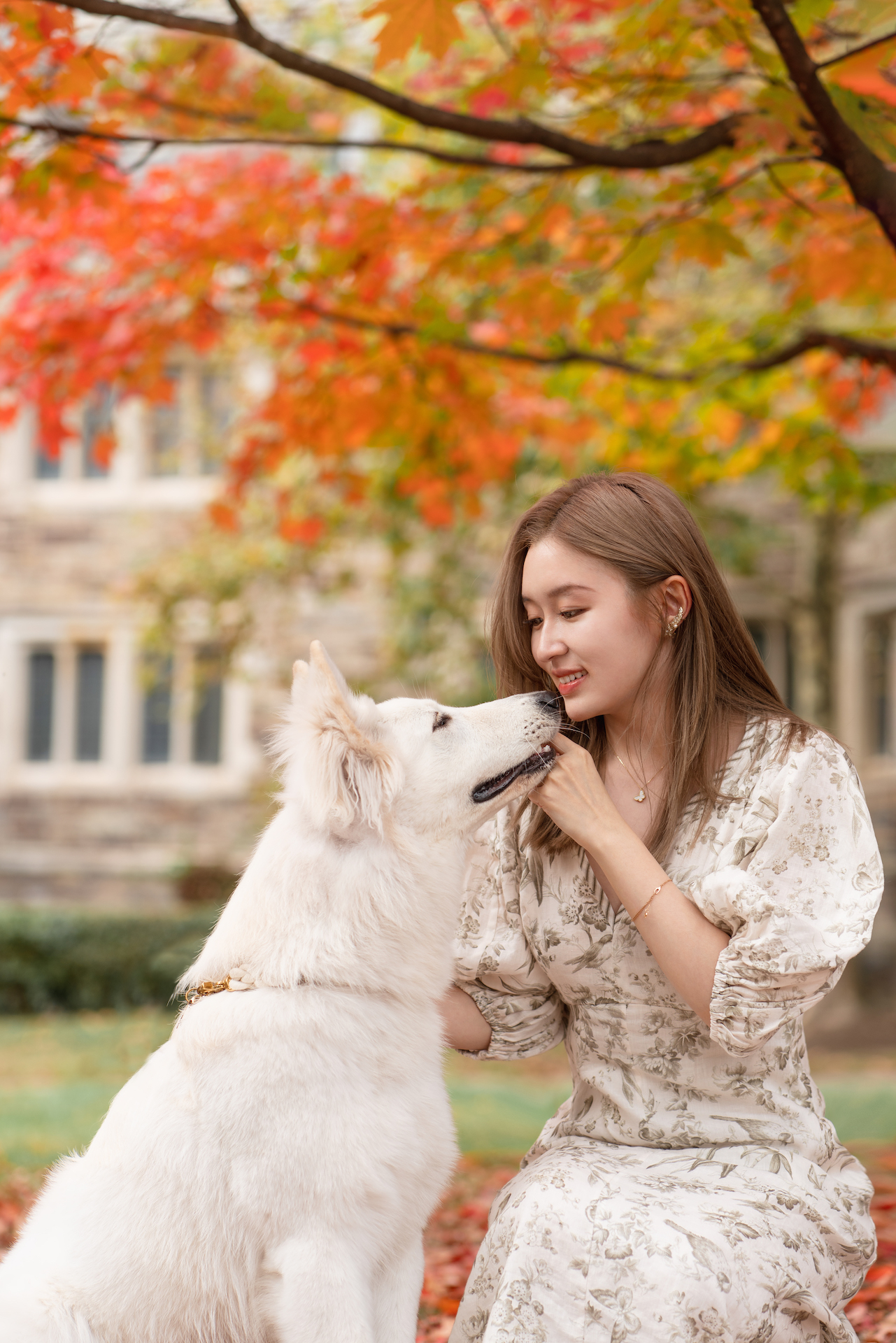 Fall Dog and People Photo, Princeton University NJ