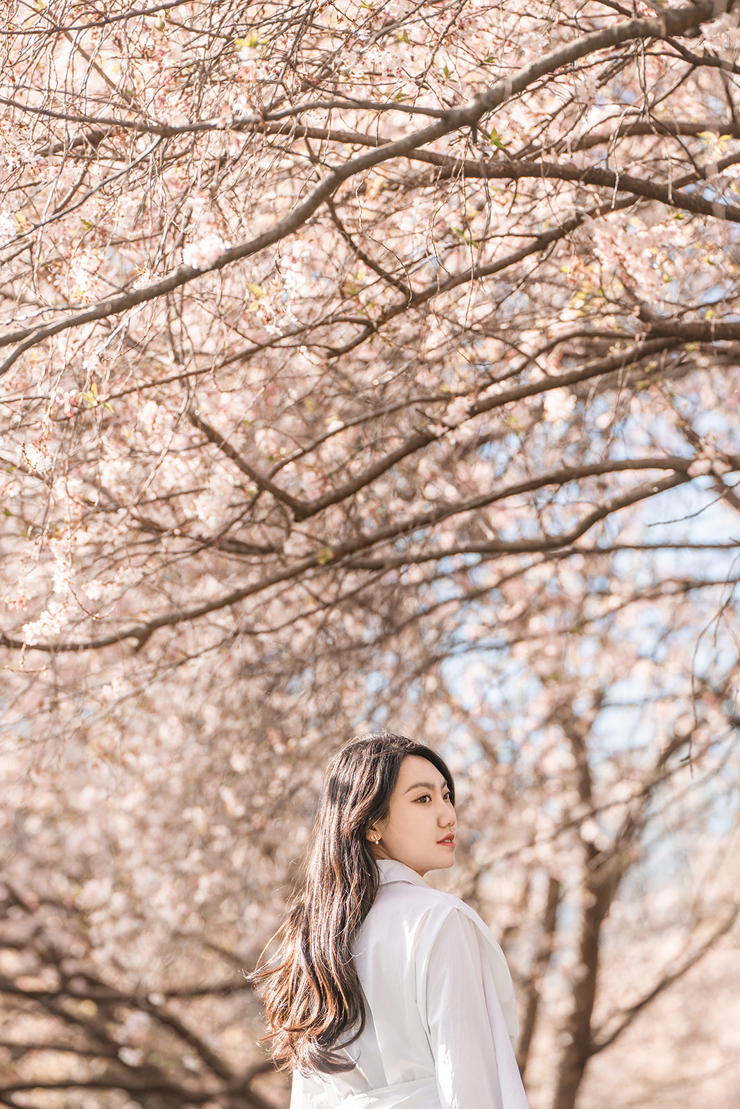 Cherry Blossom Chinese Women Portrait in Philly